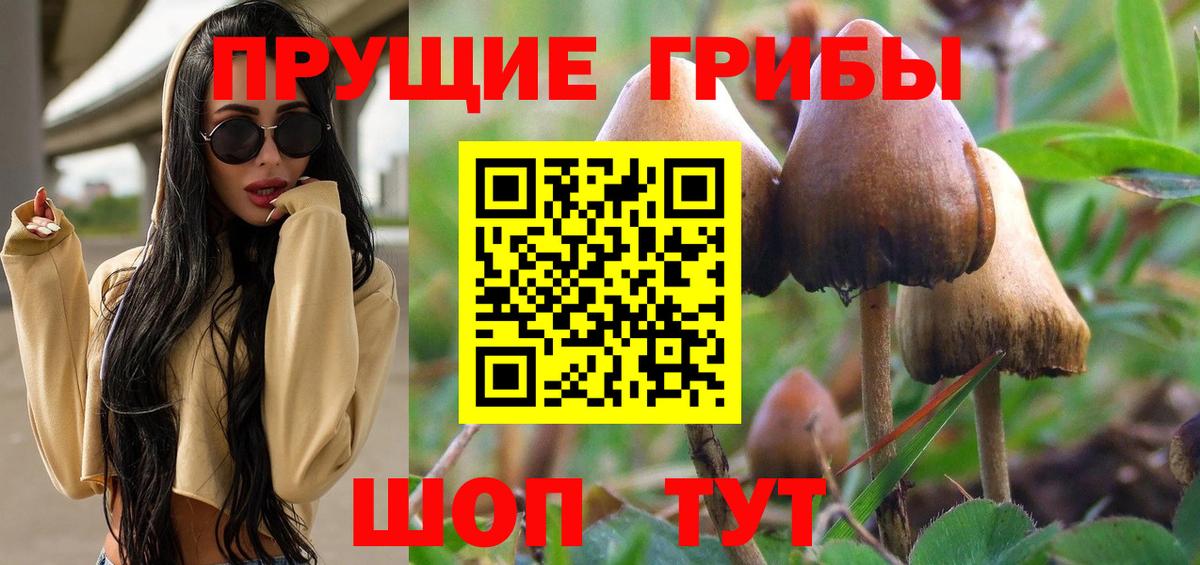 Белореченск  Галлюциногенные грибы Magic Shrooms  купить   Галлюциногенные грибы ЛСД  Вход с VPN 